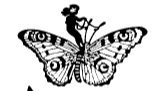 Blackfly Designs